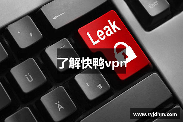 了解快鸭vpn